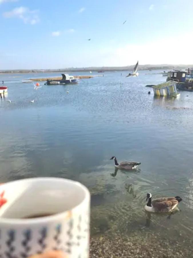 Holes Bay Nature Reserve, Poole, Right Next To The Water Екстериор снимка
